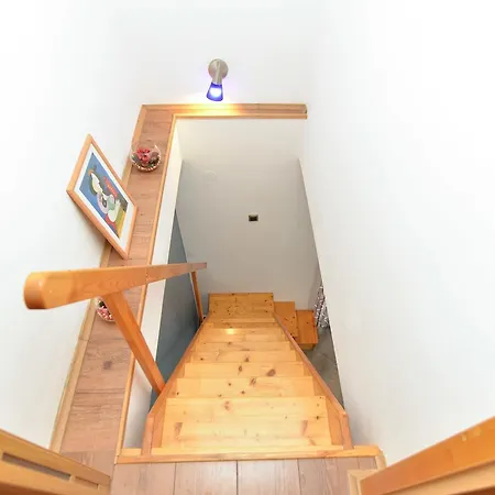 Puzar 295 Штиньян