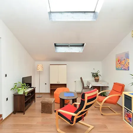 Apartment Puzar 295 *