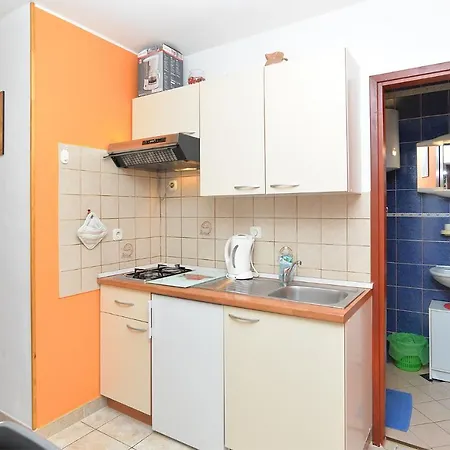 Apartment Puzar 295 *