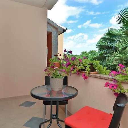 Apartment Puzar 295 *